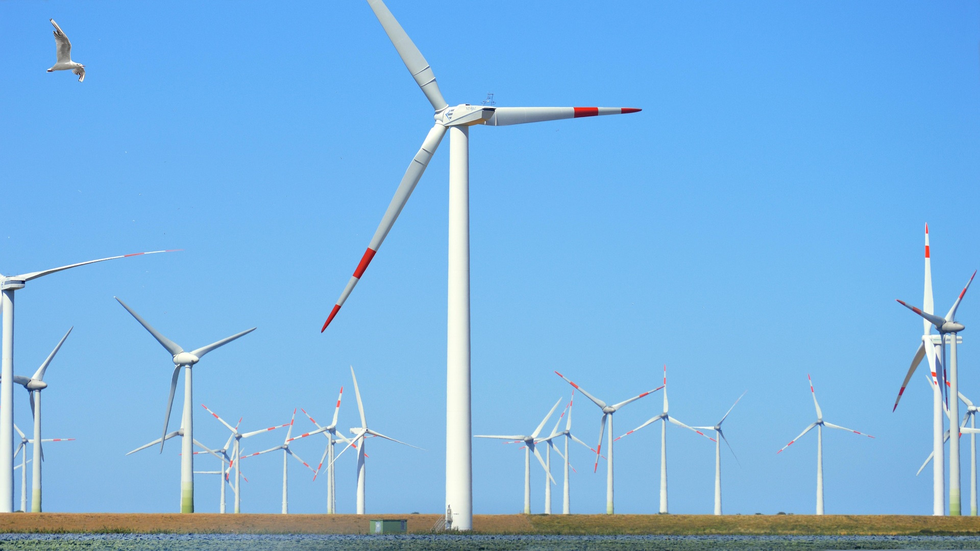 Partner im Energiemarkt - Windräder-Bild von Frauke Riether auf Pixabay